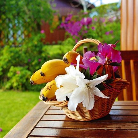 Holiday Homes Quinta Dos Curubas, Vila Franca Do Campo, Sao Miguel, Azores 外观 照片