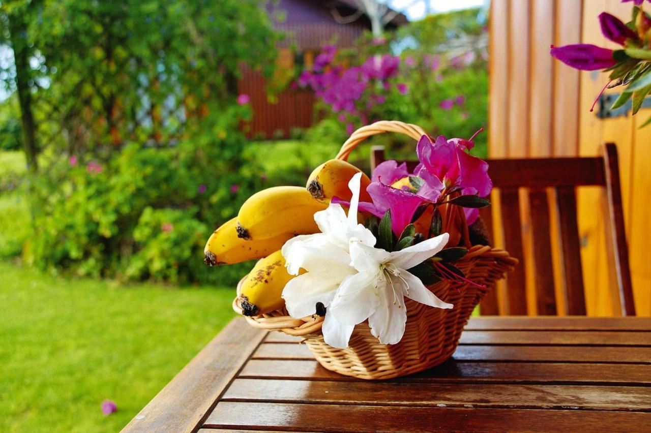 Holiday Homes Quinta Dos Curubas, Vila Franca Do Campo, Sao Miguel, Azores 外观 照片