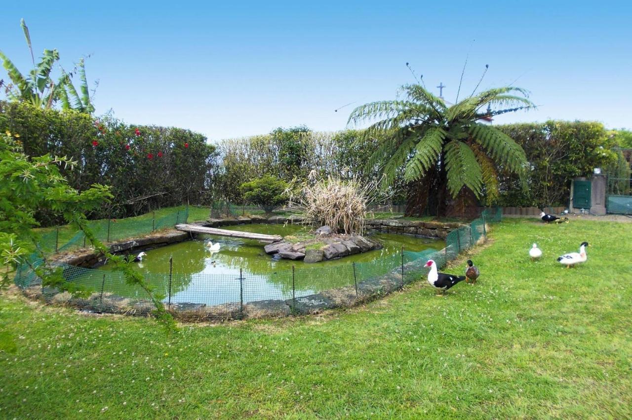 Holiday Homes Quinta Dos Curubas, Vila Franca Do Campo, Sao Miguel, Azores 外观 照片