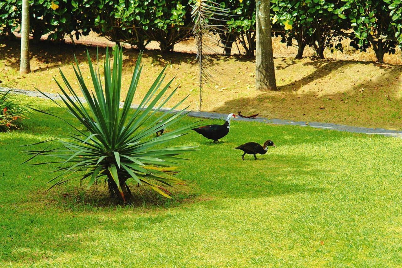 Holiday Homes Quinta Dos Curubas, Vila Franca Do Campo, Sao Miguel, Azores 外观 照片