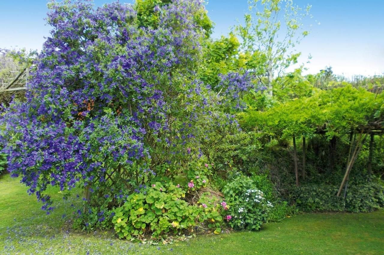 Holiday Homes Quinta Dos Curubas, Vila Franca Do Campo, Sao Miguel, Azores 外观 照片