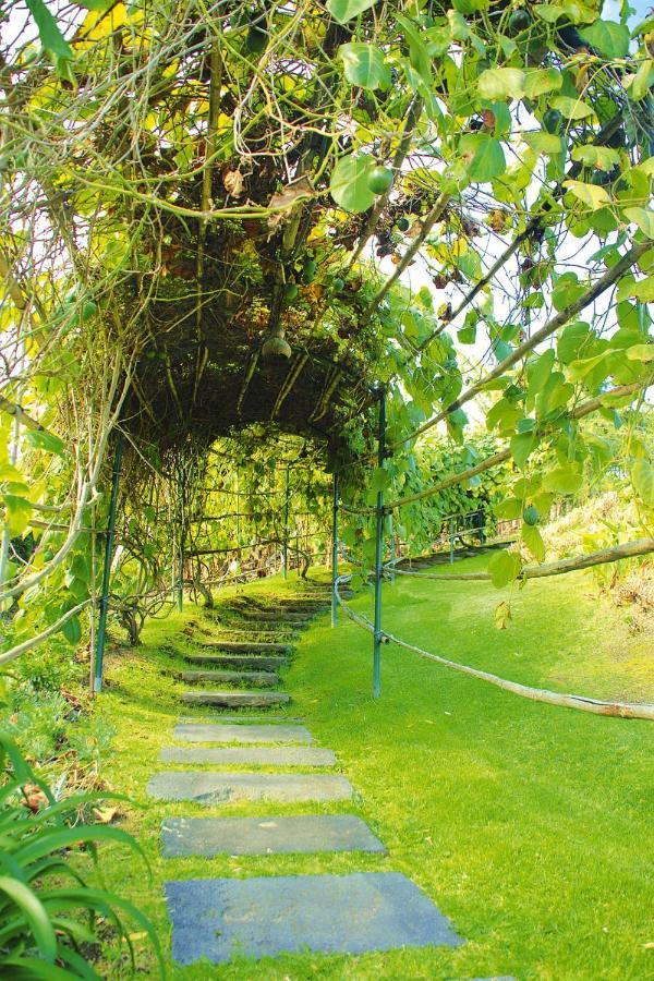 Holiday Homes Quinta Dos Curubas, Vila Franca Do Campo, Sao Miguel, Azores 外观 照片